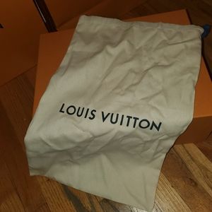 Louis Vuitton dust bag/storage bag